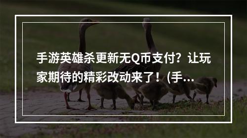 手游英雄杀更新无Q币支付？让玩家期待的精彩改动来了！(手游英雄杀取消Q币支付，给玩家带来全新的充值方式！)