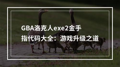 GBA洛克人exe2金手指代码大全：游戏升级之道