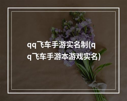 qq飞车手游实名制(qq飞车手游本游戏实名)