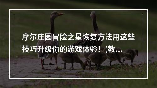 摩尔庄园冒险之星恢复方法用这些技巧升级你的游戏体验！(教你成为真正的冒险高手)