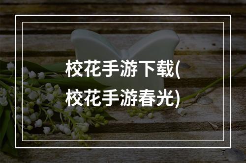 校花手游下载(校花手游春光)