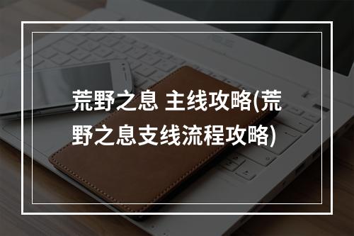 荒野之息 主线攻略(荒野之息支线流程攻略)