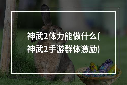 神武2体力能做什么(神武2手游群体激励)