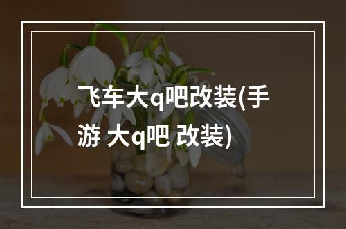 飞车大q吧改装(手游 大q吧 改装)