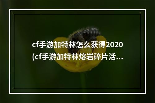 cf手游加特林怎么获得2020(cf手游加特林熔岩碎片活动)