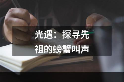 光遇：探寻先祖的螃蟹叫声