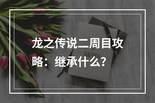 龙之传说二周目攻略：继承什么？