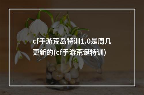 cf手游荒岛特训1.0是周几更新的(cf手游荒诞特训)