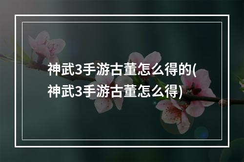 神武3手游古董怎么得的(神武3手游古董怎么得)