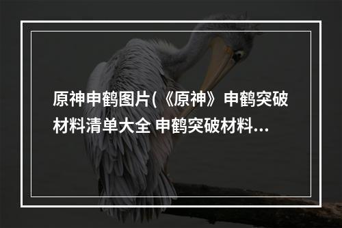 原神申鹤图片(《原神》申鹤突破材料清单大全 申鹤突破材料介绍 原神)