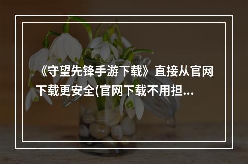 《守望先锋手游下载》直接从官网下载更安全(官网下载不用担心病毒)(打造属于你的 《守望先锋》 世界(打法心得分享))