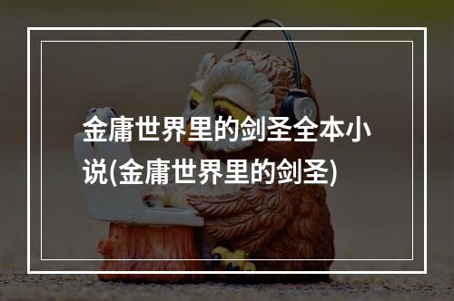 金庸世界里的剑圣全本小说(金庸世界里的剑圣)