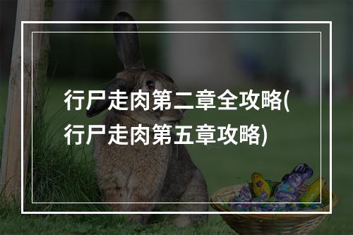 行尸走肉第二章全攻略(行尸走肉第五章攻略)