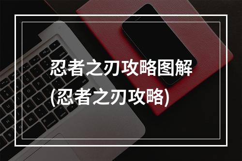 忍者之刃攻略图解(忍者之刃攻略)