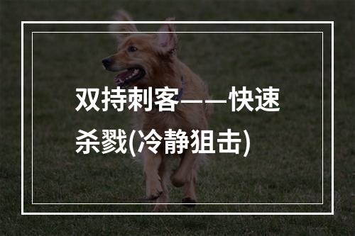 双持刺客——快速杀戮(冷静狙击)