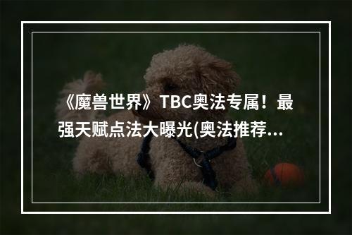 《魔兽世界》TBC奥法专属！最强天赋点法大曝光(奥法推荐)