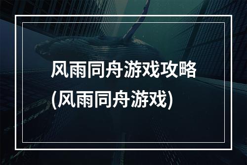 风雨同舟游戏攻略(风雨同舟游戏)