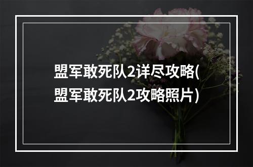 盟军敢死队2详尽攻略(盟军敢死队2攻略照片)