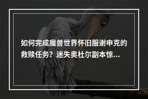 如何完成魔兽世界怀旧服谢申克的救赎任务？迷失奥杜尔副本惊喜不断！(攻略心得)