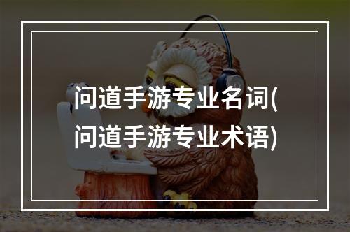 问道手游专业名词(问道手游专业术语)