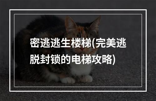 密逃逃生楼梯(完美逃脱封锁的电梯攻略)