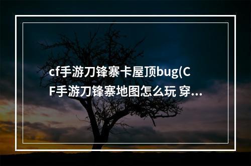 cf手游刀锋寨卡屋顶bug(CF手游刀锋寨地图怎么玩 穿越火线枪战王者刀锋寨地图)