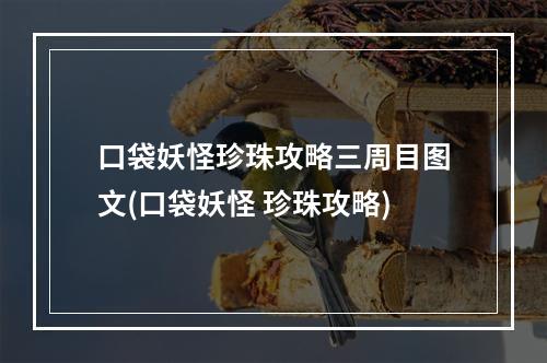 口袋妖怪珍珠攻略三周目图文(口袋妖怪 珍珠攻略)