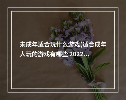 未成年适合玩什么游戏(适合成年人玩的游戏有哪些 2022适合成年人的手机游戏哪个好)