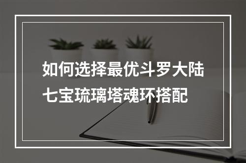 如何选择最优斗罗大陆七宝琉璃塔魂环搭配