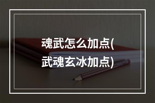 魂武怎么加点(武魂玄冰加点)