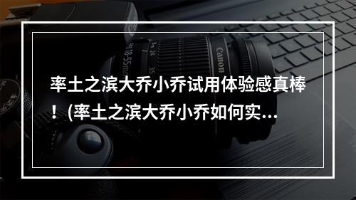 率土之滨大乔小乔试用体验感真棒！(率土之滨大乔小乔如何实现你的游戏需求)