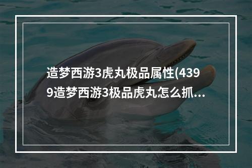 造梦西游3虎丸极品属性(4399造梦西游3极品虎丸怎么抓(易爆点) 造梦西游3极品)