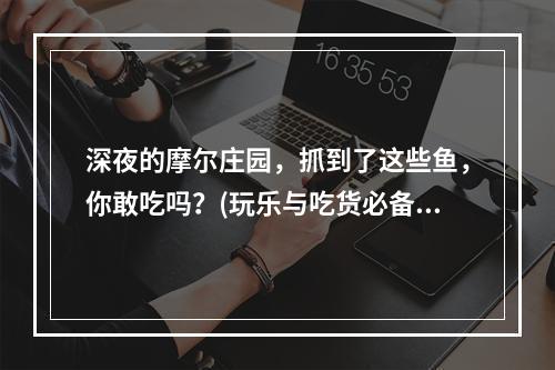 深夜的摩尔庄园，抓到了这些鱼，你敢吃吗？(玩乐与吃货必备)