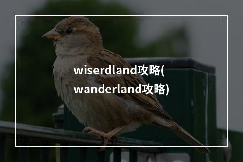 wiserdland攻略(wanderland攻略)