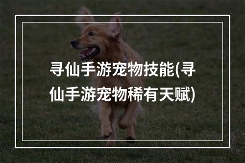 寻仙手游宠物技能(寻仙手游宠物稀有天赋)