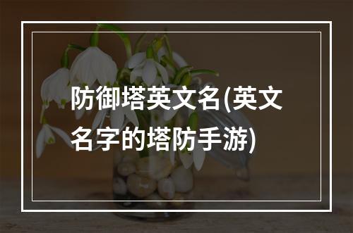 防御塔英文名(英文名字的塔防手游)