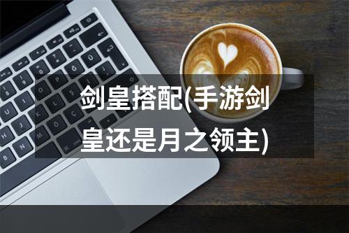 剑皇搭配(手游剑皇还是月之领主)