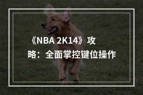 《NBA 2K14》攻略：全面掌控键位操作