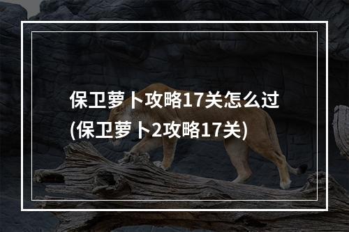 保卫萝卜攻略17关怎么过(保卫萝卜2攻略17关)