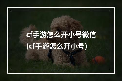 cf手游怎么开小号微信(cf手游怎么开小号)