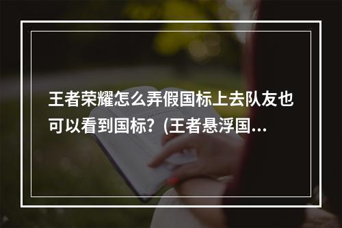 王者荣耀怎么弄假国标上去队友也可以看到国标？(王者悬浮国标)