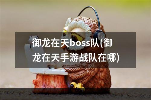 御龙在天boss队(御龙在天手游战队在哪)