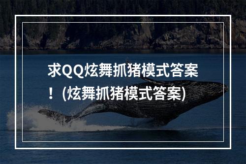 求QQ炫舞抓猪模式答案！(炫舞抓猪模式答案)