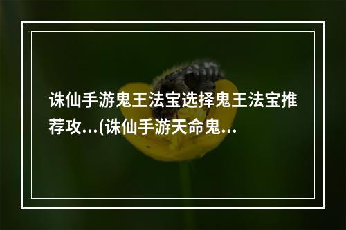 诛仙手游鬼王法宝选择鬼王法宝推荐攻...(诛仙手游天命鬼王法宝)