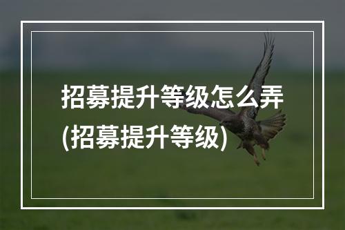 招募提升等级怎么弄(招募提升等级)