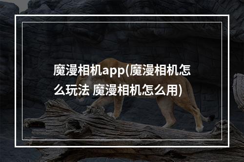 魔漫相机app(魔漫相机怎么玩法 魔漫相机怎么用)