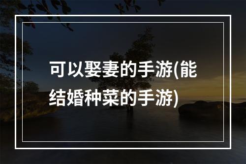 可以娶妻的手游(能结婚种菜的手游)