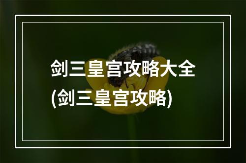 剑三皇宫攻略大全(剑三皇宫攻略)