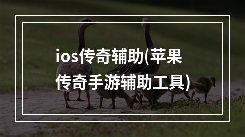 ios传奇辅助(苹果传奇手游辅助工具)