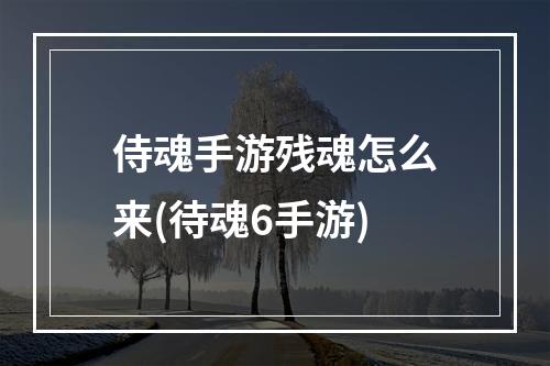 侍魂手游残魂怎么来(待魂6手游)